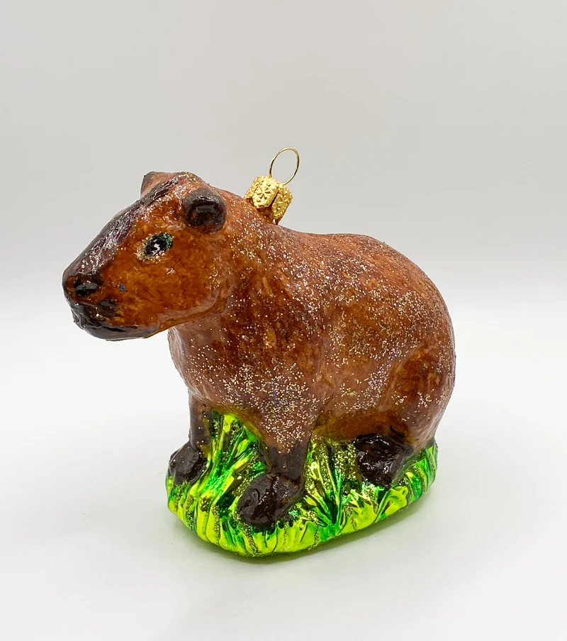 Wasserschwein, Capybara