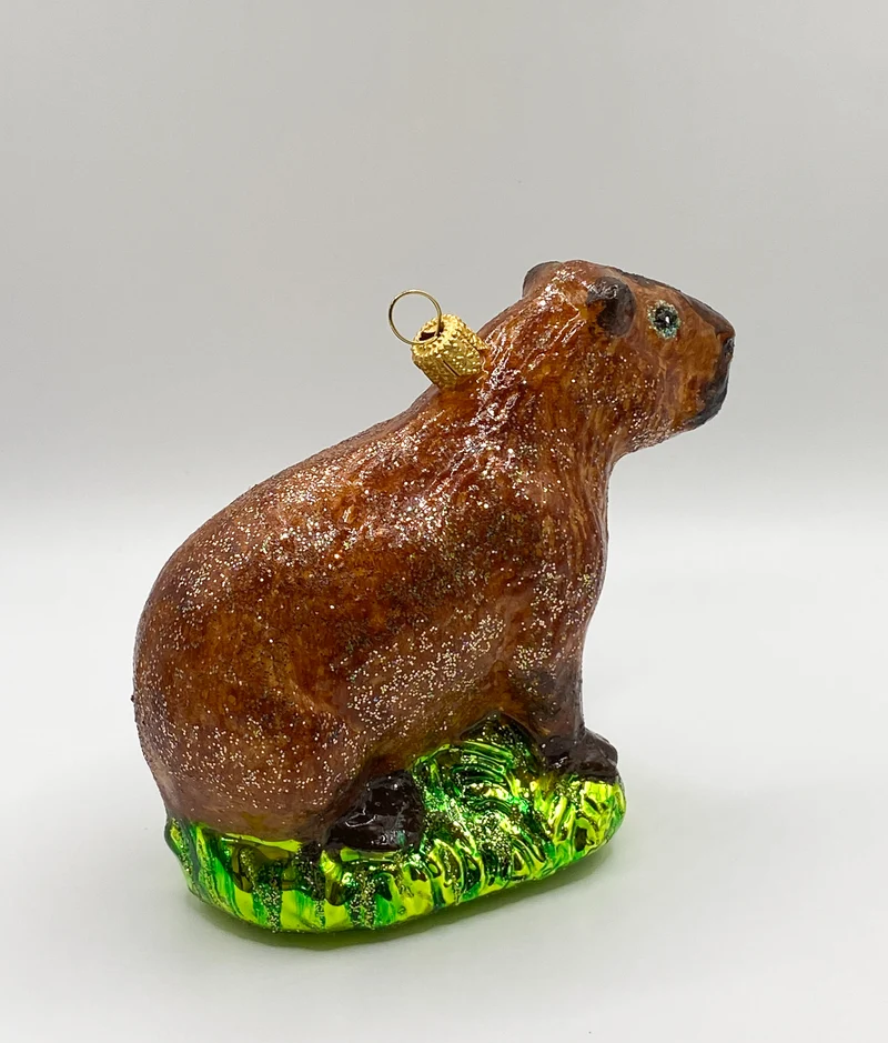 Wasserschwein, Capybara