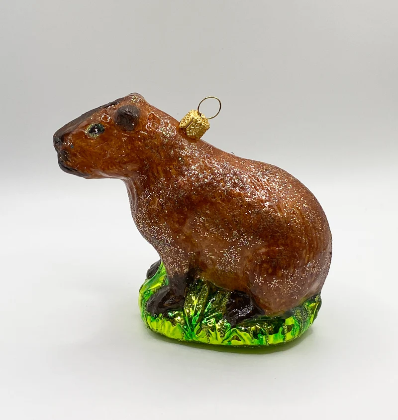 Wasserschwein, Capybara