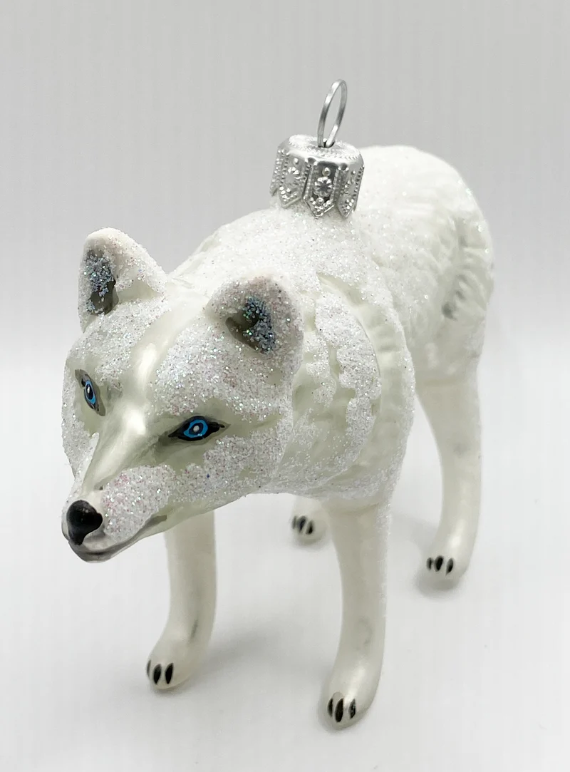 Weisser Polar Wolf oder arktischer Wolf
