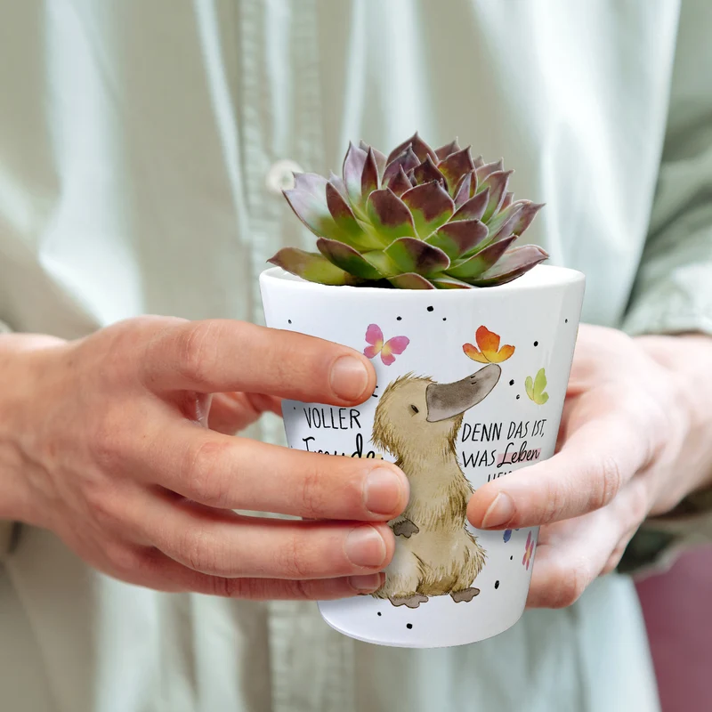 Schnabeltier Blumentopf mit Spruch Lebe bunt und freudig