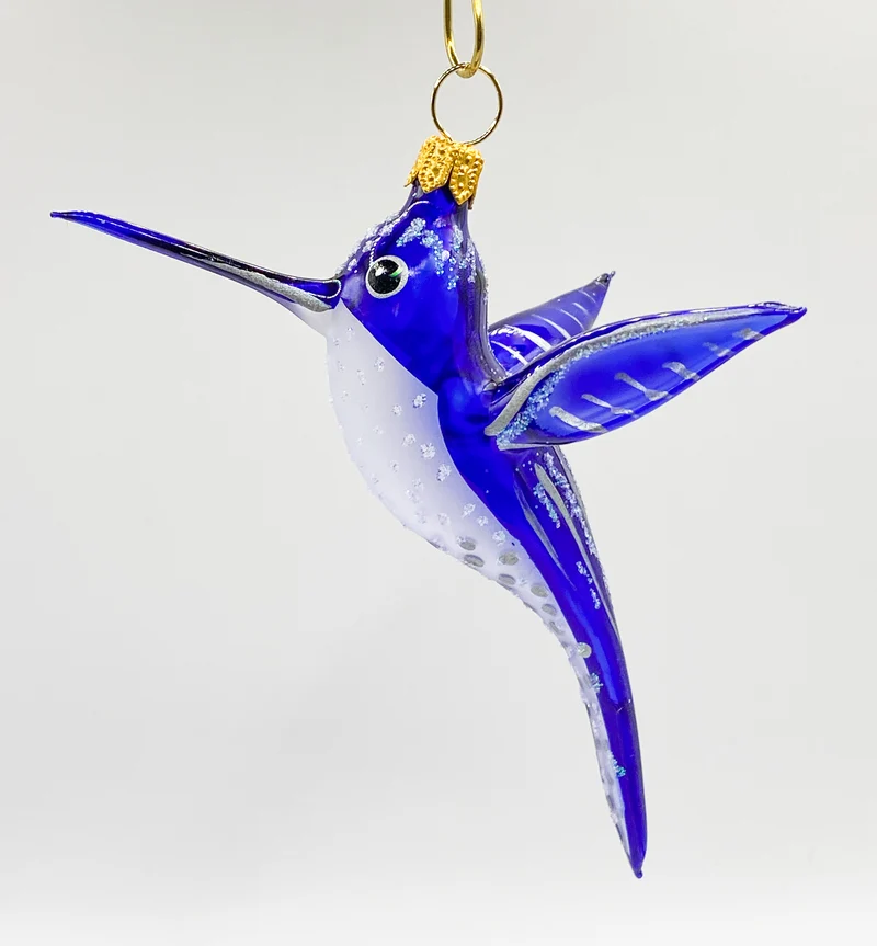 Kolibri blau transparent