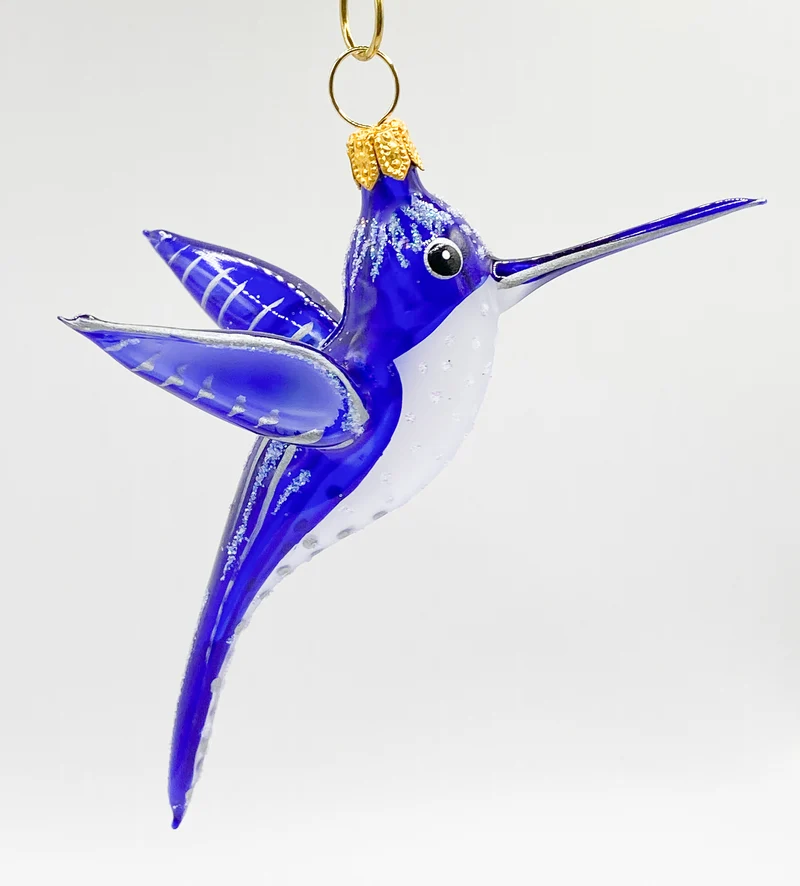 Kolibri blau transparent