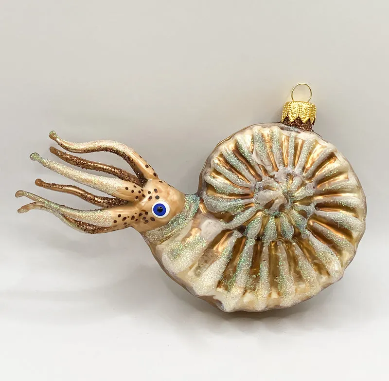 Grosser Nautilus