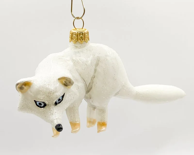 Polarfuchs