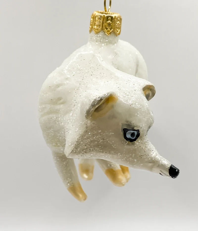 Polarfuchs