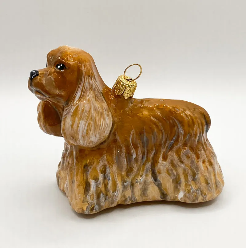 Brauner Cocker Spaniel KOMOZJA MOSTOWSKI