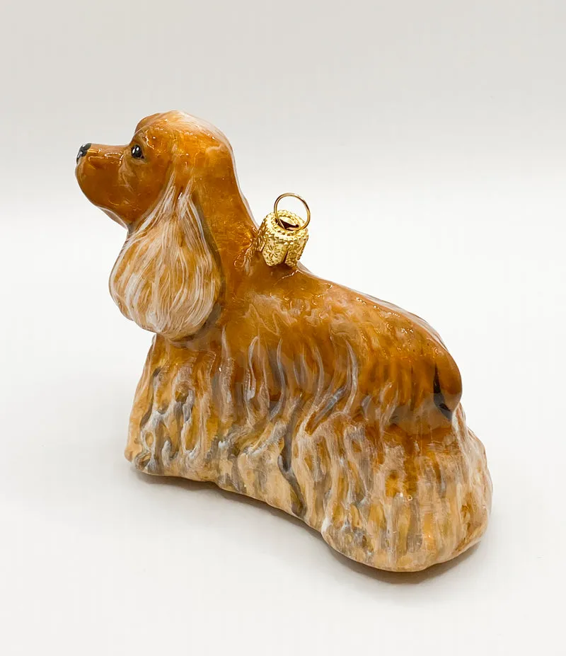Brauner Cocker Spaniel KOMOZJA MOSTOWSKI