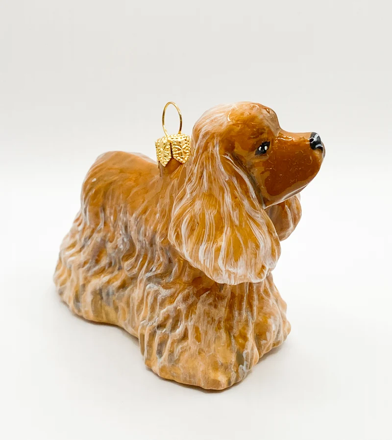 Brauner Cocker Spaniel KOMOZJA MOSTOWSKI