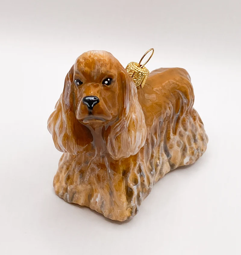 Brauner Cocker Spaniel KOMOZJA MOSTOWSKI