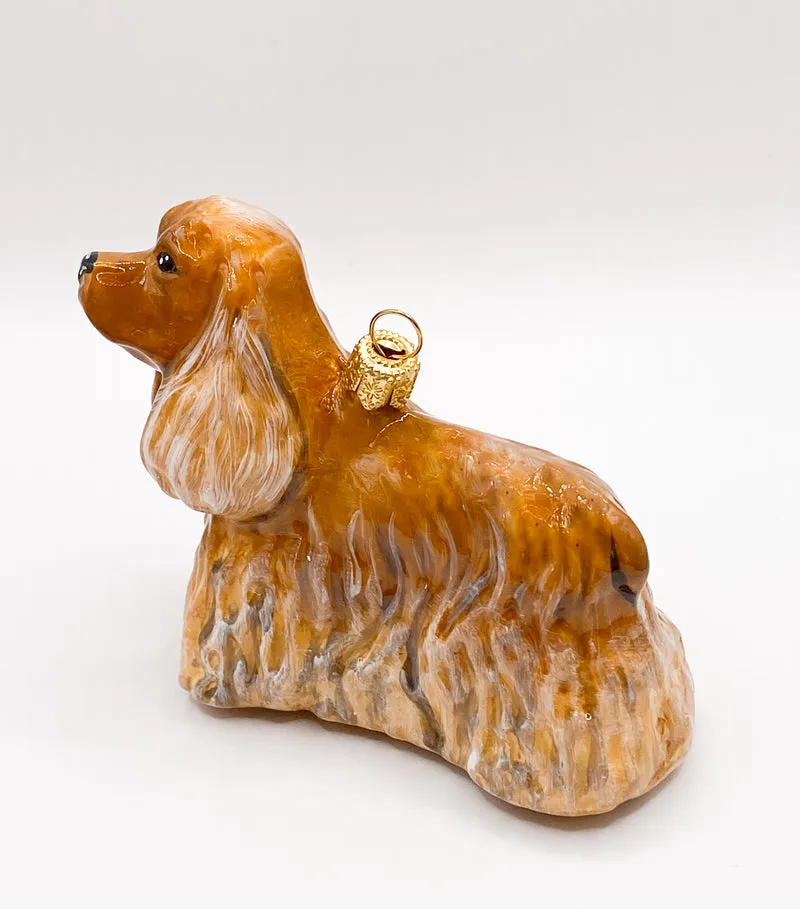 Brauner Cocker Spaniel KOMOZJA MOSTOWSKI