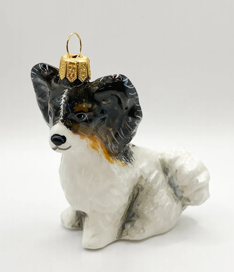 Papillon Hund KOMOZJA MOSTOWSKI