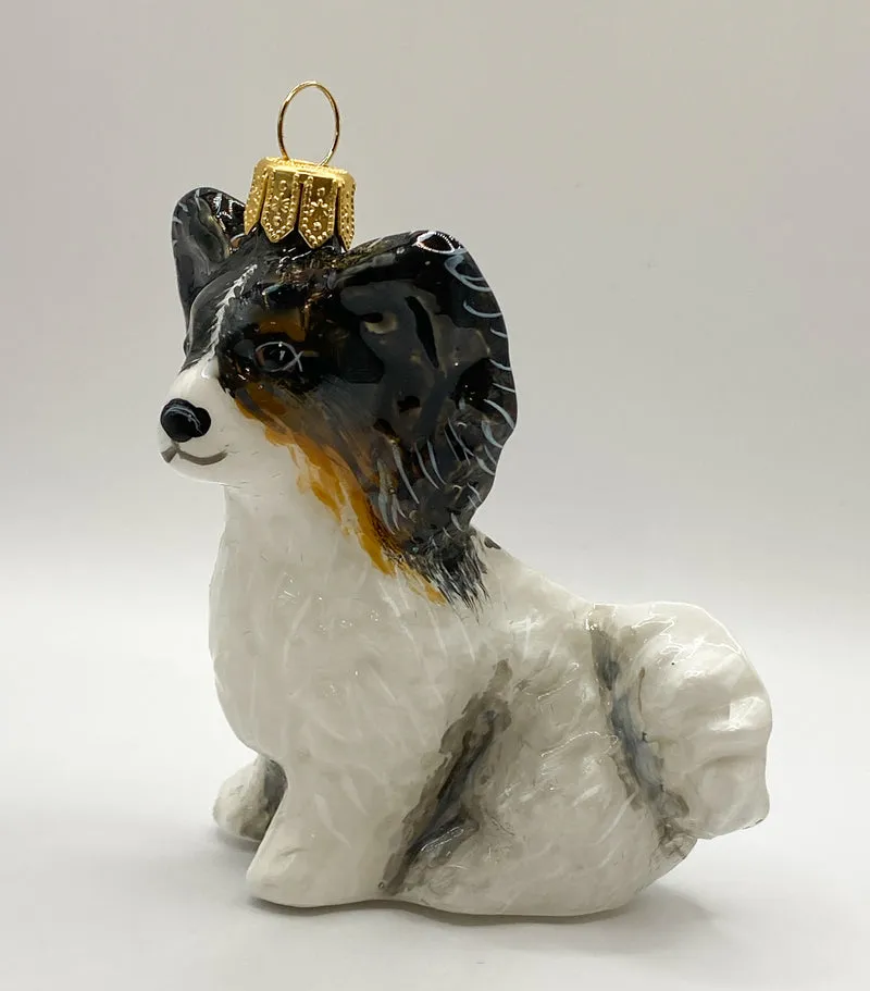Papillon Hund KOMOZJA MOSTOWSKI