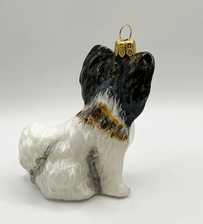 Papillon Hund KOMOZJA MOSTOWSKI