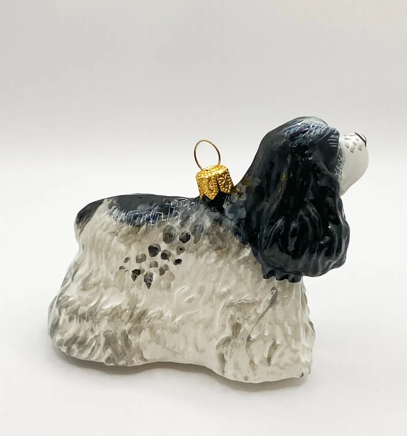 Schwarz weiss gefleckter Cocker Spaniel, KOMOZJA MOSTOWSKI