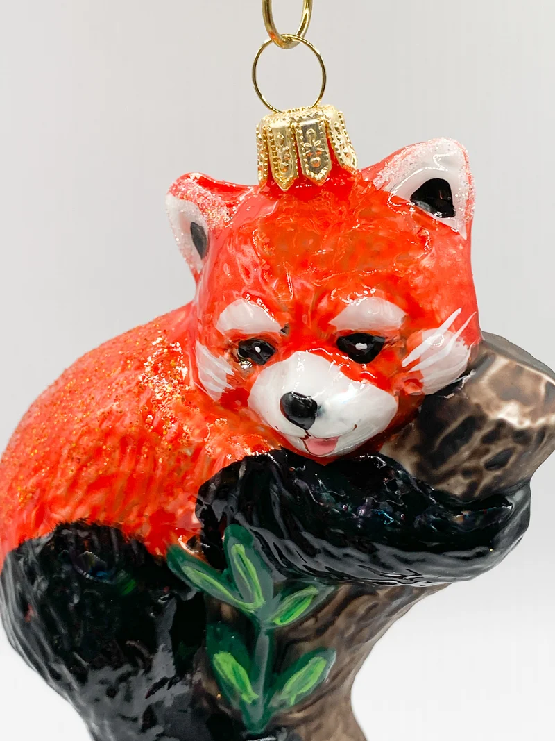 Roter Panda