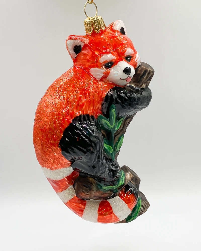 Roter Panda