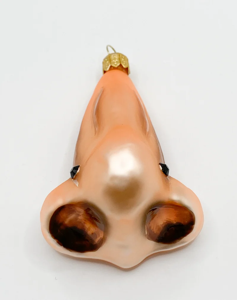 Menschliche Nase mit Nasallang Piercing