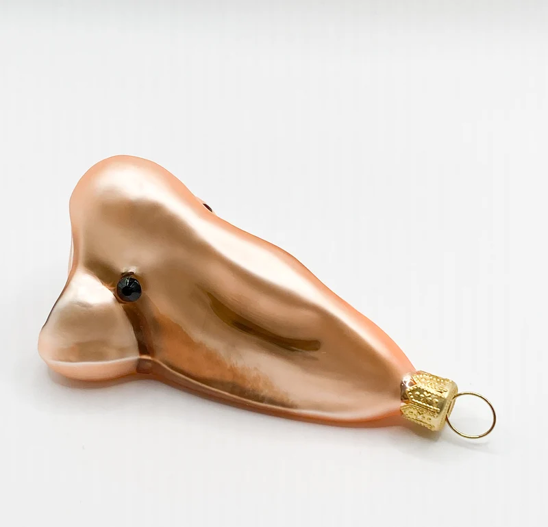 Menschliche Nase mit Nasallang Piercing