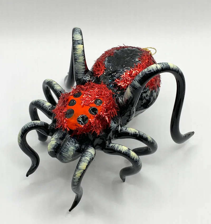 Schwarze Vogelspinne mit rotem Rücken