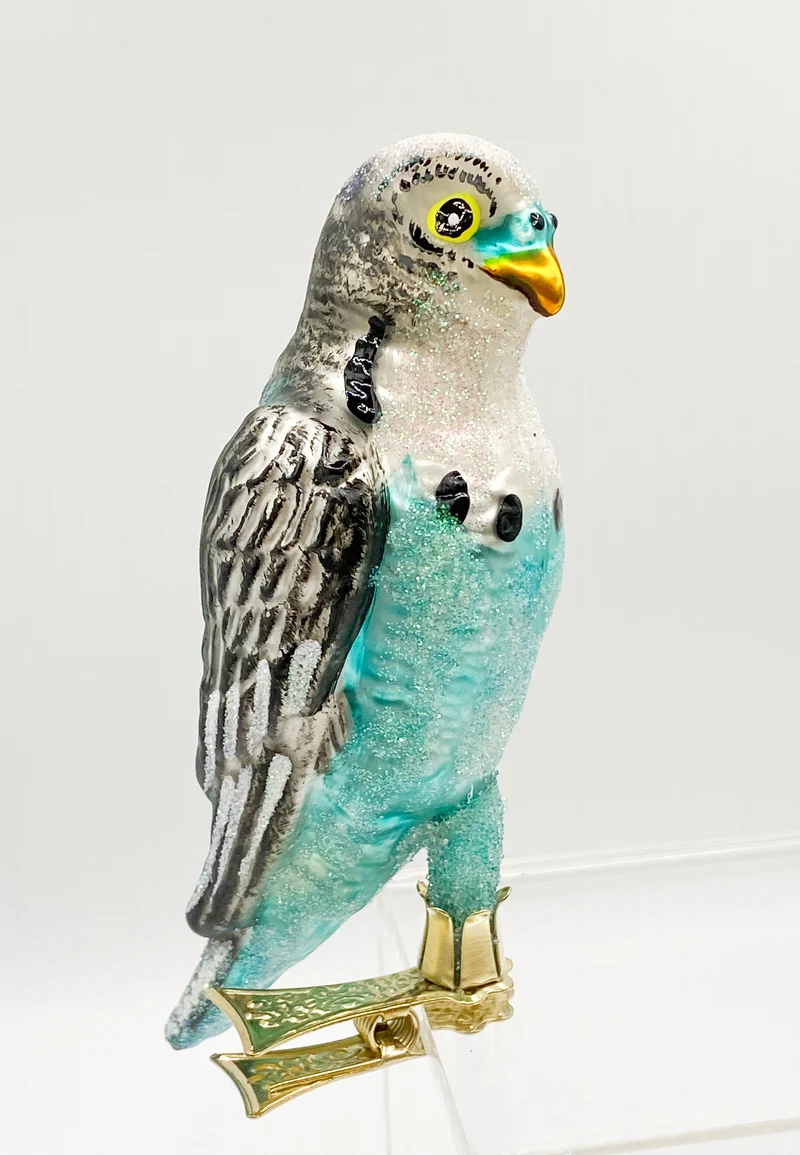 Hellblauer Wellensittich mit grauen Flügeln