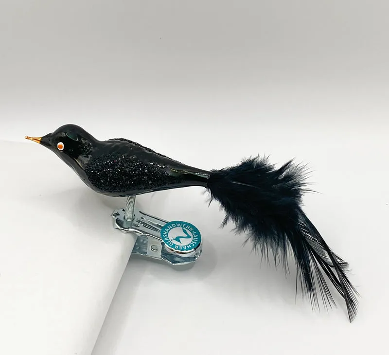 Kleine Glitzer-Amsel