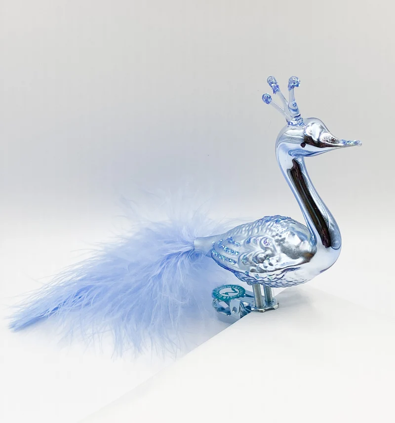 Grosser hellblauer Pfau mit Krone und hellblauer Flaumfedern