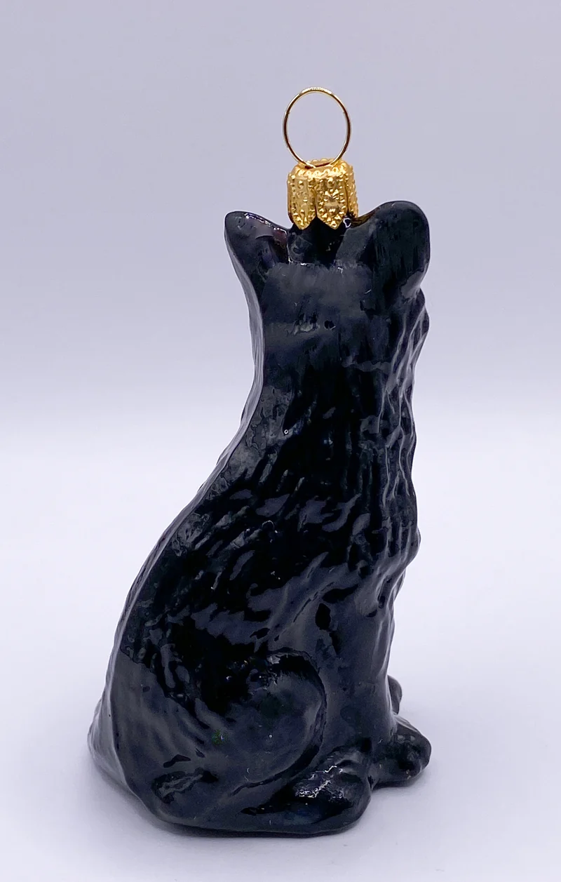 Kleine stolze schwarze Katze, KOMOZJA MOSTOWSKI