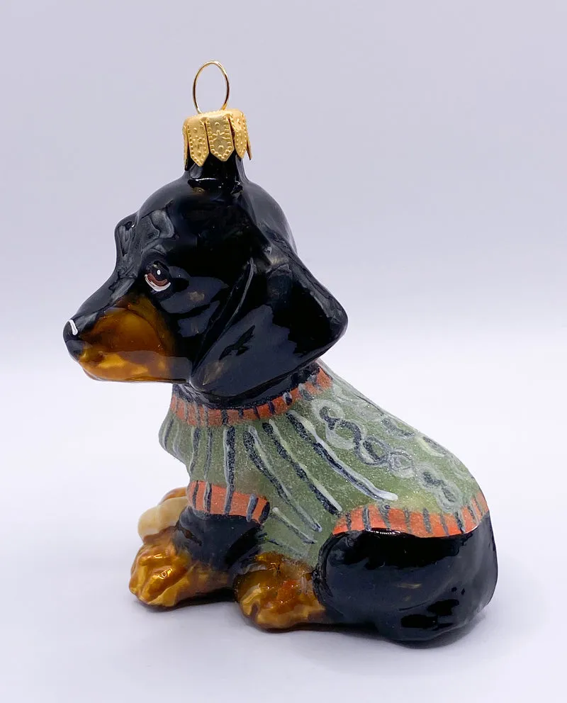 Schwarzer Dackel im grünen Mantel, Dachshund, KOMOZJA MOSTOWSKI