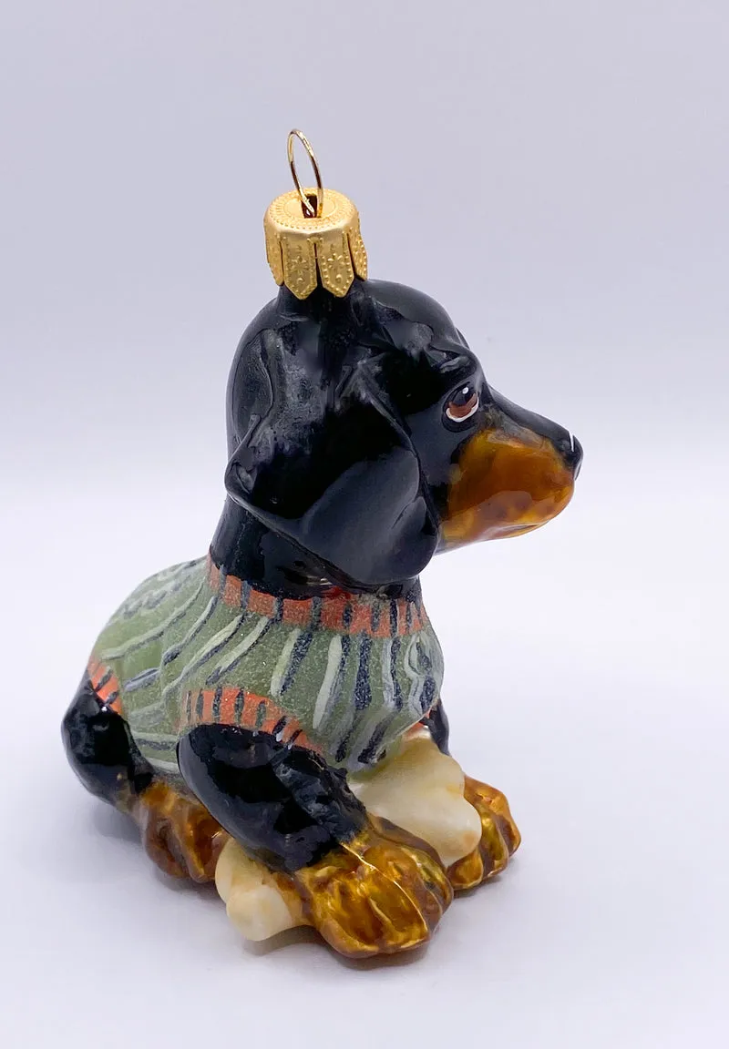 Schwarzer Dackel im grünen Mantel, Dachshund, KOMOZJA MOSTOWSKI