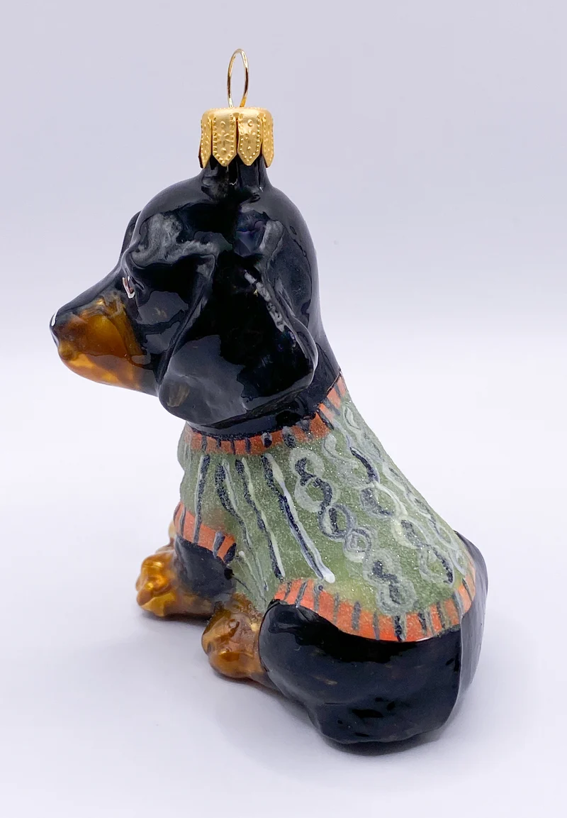 Schwarzer Dackel im grünen Mantel, Dachshund, KOMOZJA MOSTOWSKI