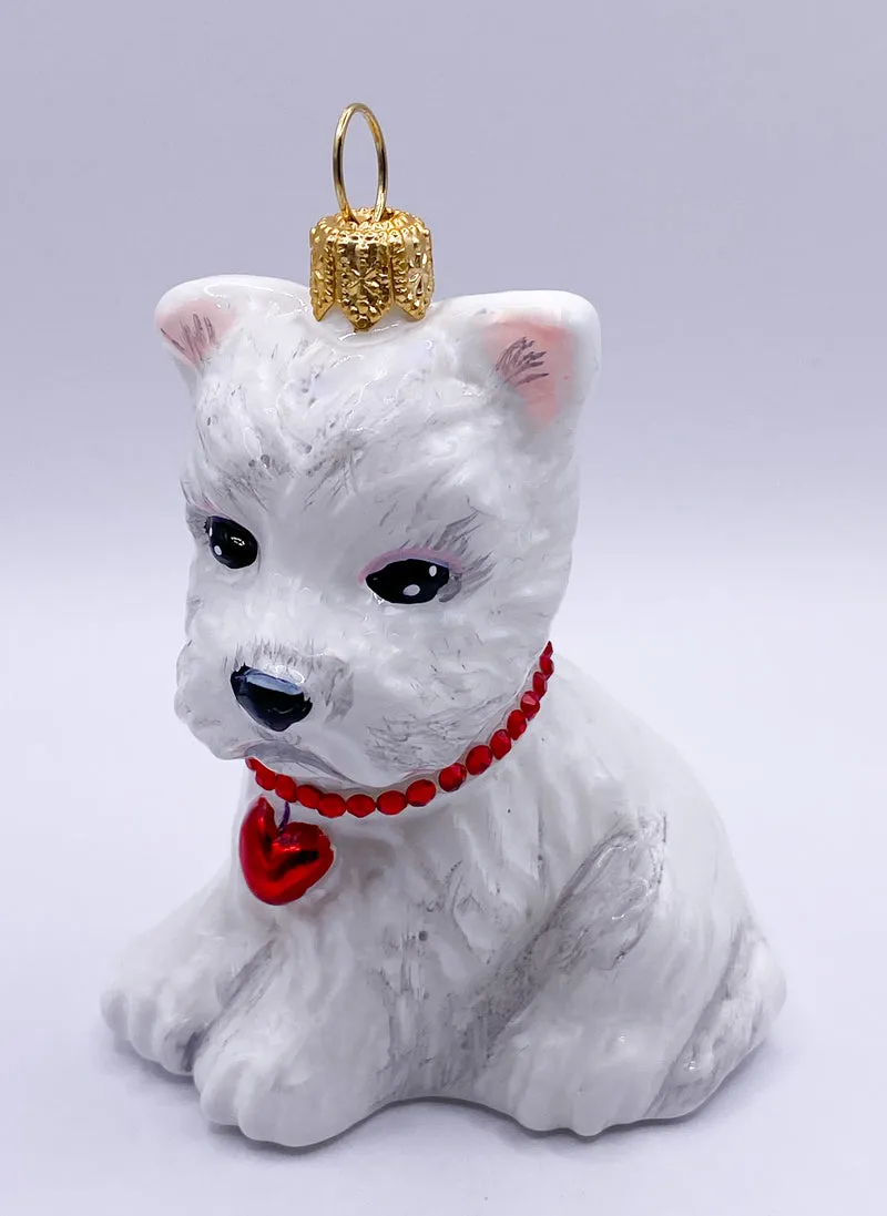 West Highland-Terrier-Hund mit rotem Herzchen-Halsband, KOMOZJA MOSTOWSKI