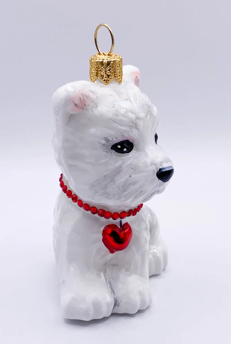 West Highland-Terrier-Hund mit rotem Herzchen-Halsband, KOMOZJA MOSTOWSKI