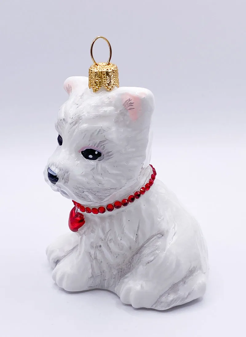 West Highland-Terrier-Hund mit rotem Herzchen-Halsband, KOMOZJA MOSTOWSKI