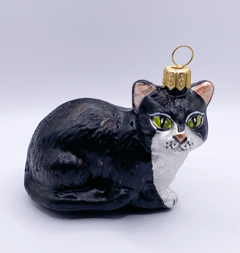 Schwarze Katze mit weissem Bauch