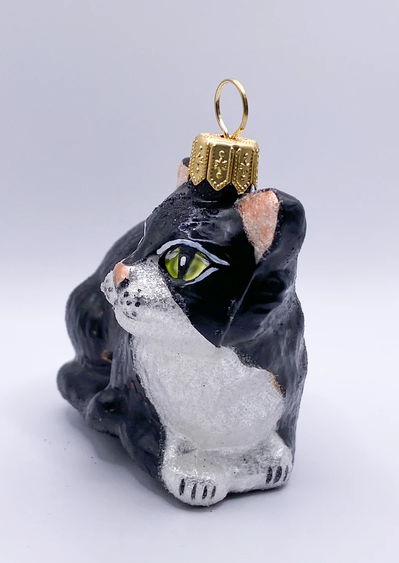 Schwarze Katze mit weissem Bauch