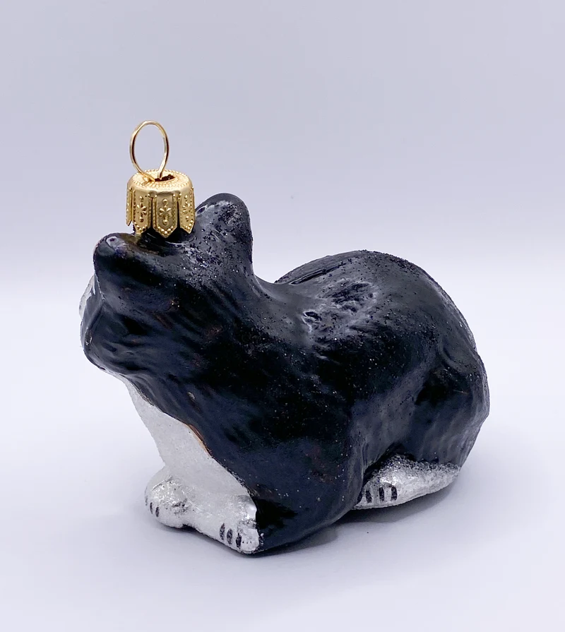 Schwarze Katze mit weissem Bauch
