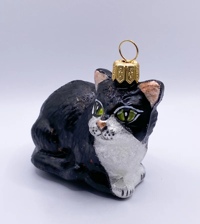 Schwarze Katze mit weissem Bauch