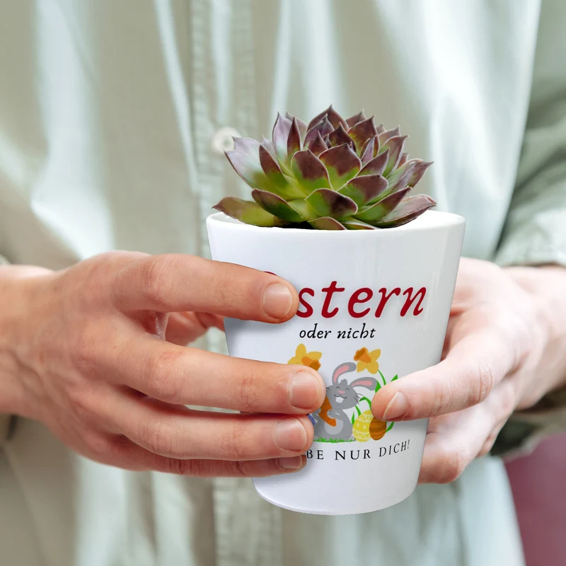 Ostern Blumentopf mit Spruch Ostern oder nicht ich Liebe nur dich