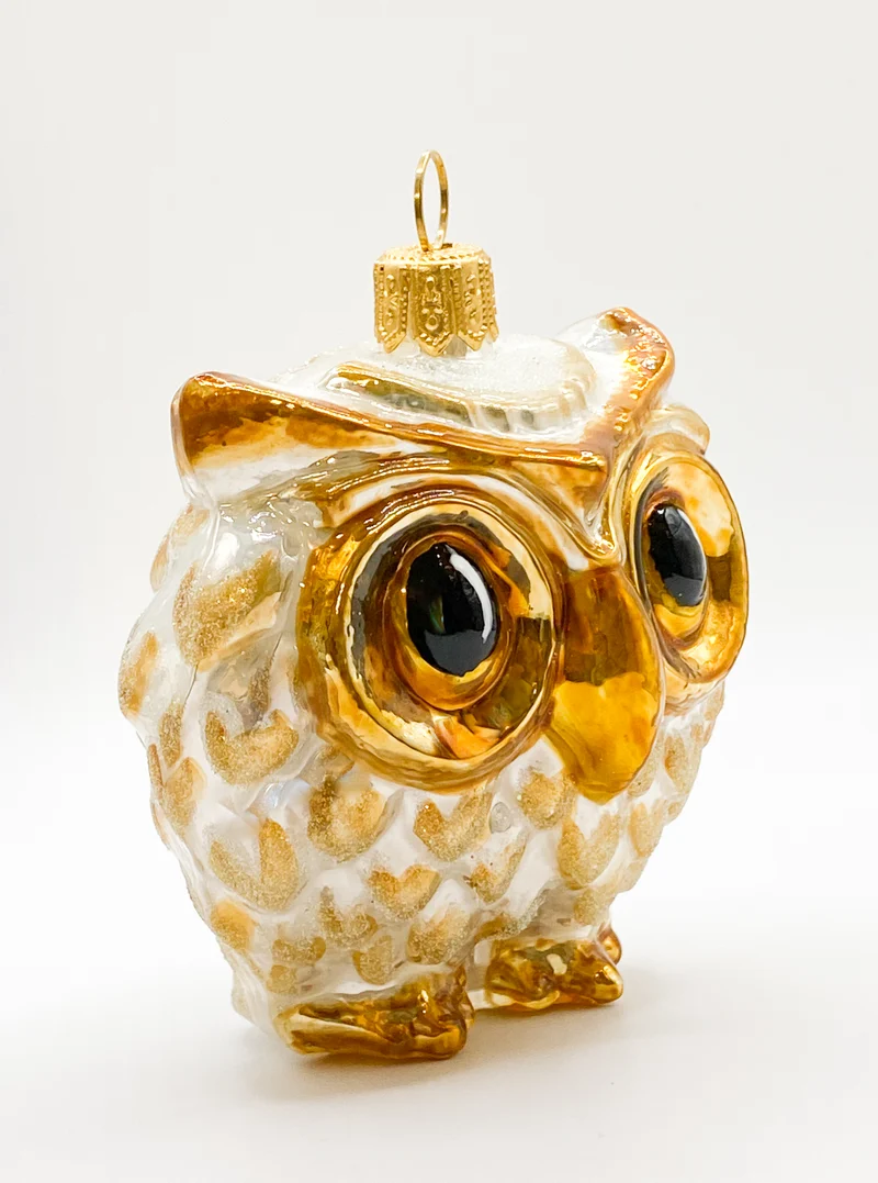 Dicke weiss/goldene Eule mit grossen Augen