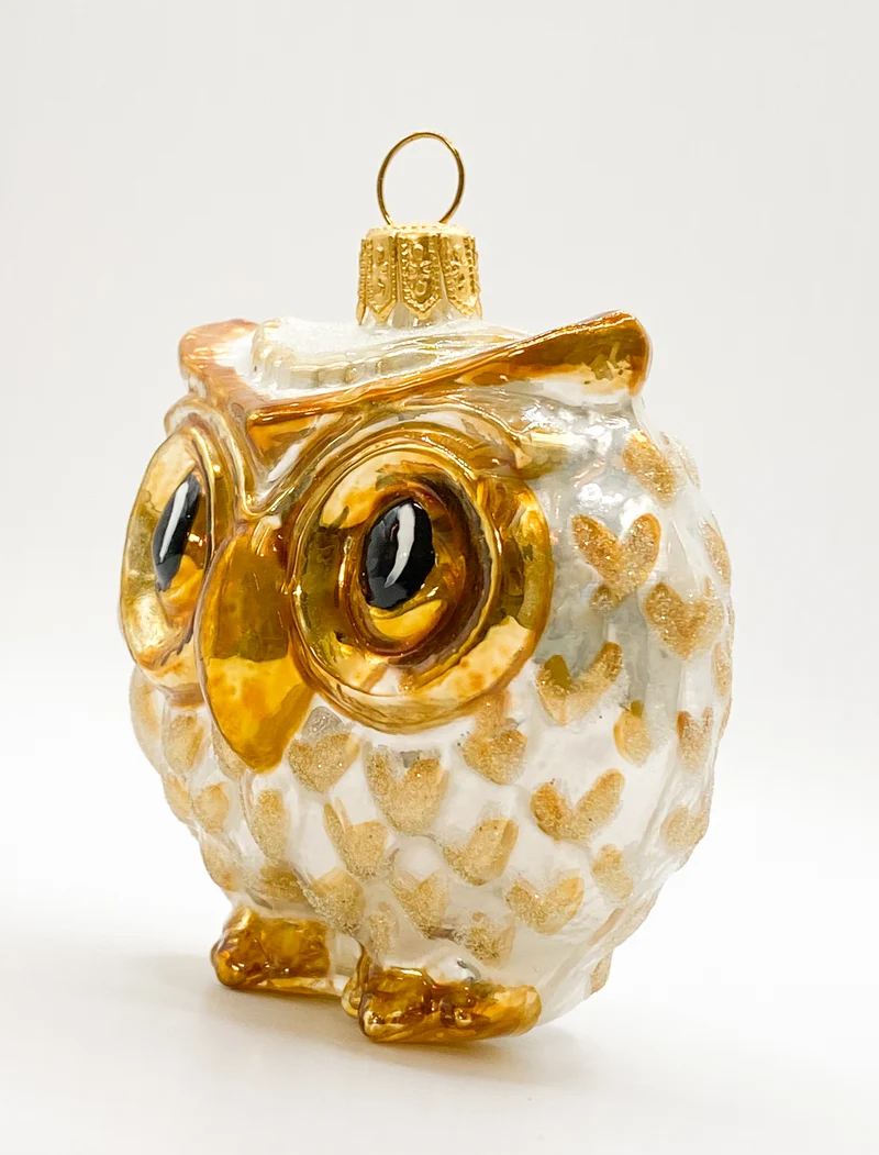 Dicke weiss/goldene Eule mit grossen Augen