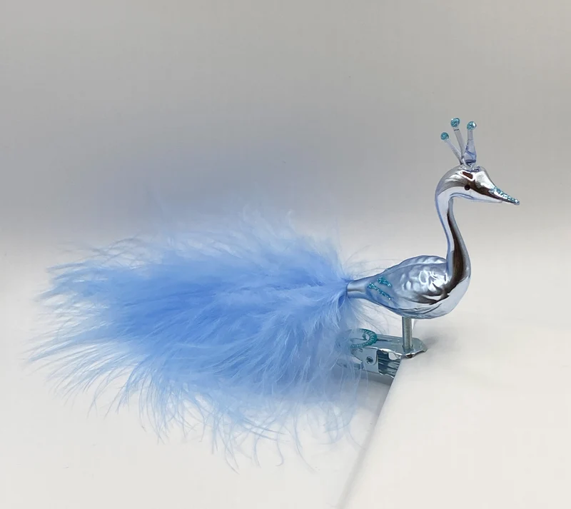 Hellblauer Pfau mit Krone und hellblauer Flaumfedern