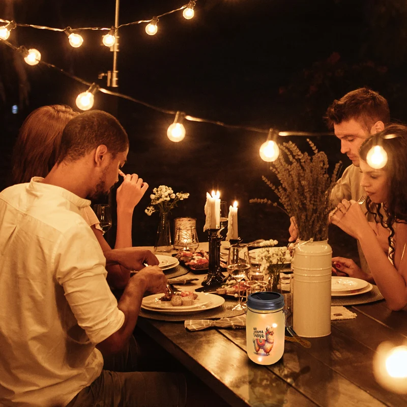 Alpaka mit bunter Satteldecke Solarlicht mit Spruch No Drama Lama