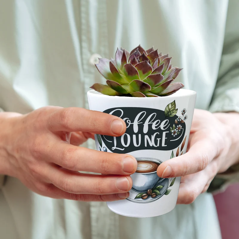 Coffee Lounge Blumentopf