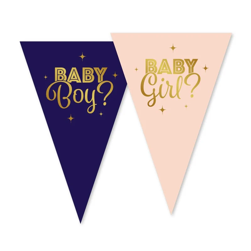 Gender Reveal Girlande Blau Rosa 10m