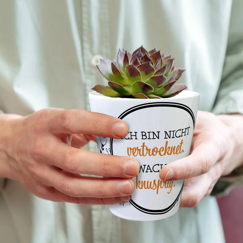 Ich bin nicht vertrocknet ich wachse knusprig Blumentopf aus Keramik