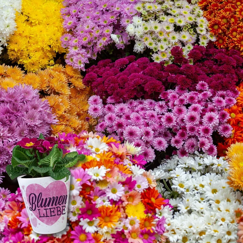 Blumenliebe Blumentopf aus Keramik